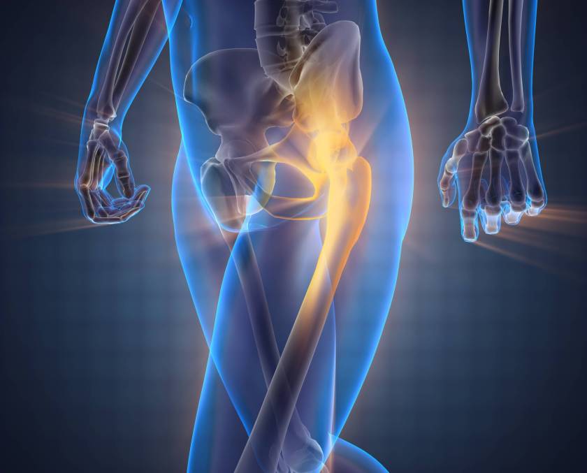human bones radiography scan image